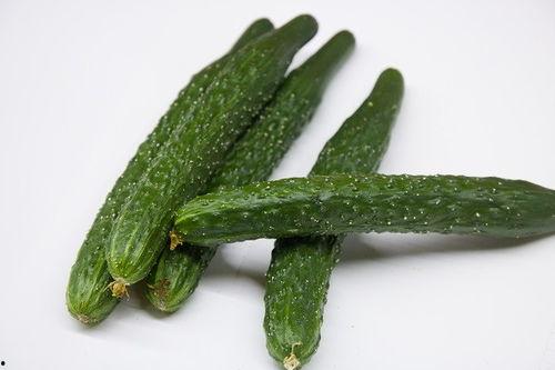 吃瓜娱乐营养,营养生活新风尚 第1张 吃瓜娱乐营养,营养生活新风尚 第1张